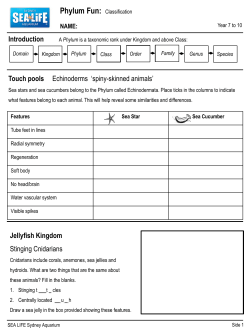 Touch pools Echinoderms `spiny-skinned animals` Jellyfish Kingdom