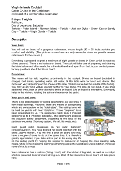 "Virgin Islands Cocktail" as PDF
