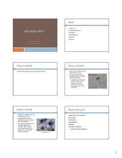 EEK! MOLD! - Connecting to Collections