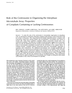 Role of the Centrosome in Organizing the Interphase Microtubule
