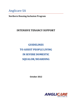 Guidelines to assist people living in severe domestic