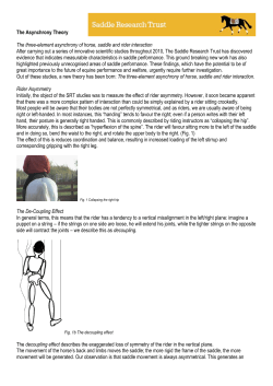 The Asynchrony Theory - full illustrated article
