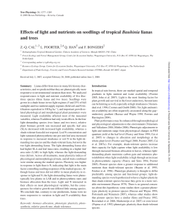 Effects of light and nutrients on seedlings of tropical