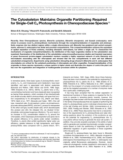 The Cytoskeleton Maintains Organelle Partitioning Required for