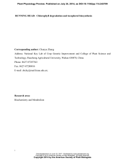 Chlorophyll degradation and tocopherol