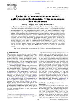 Evolution of macromolecular import pathways in mitochondria