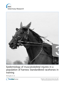 Epidemiology of musculoskeletal injuries in a population of harness