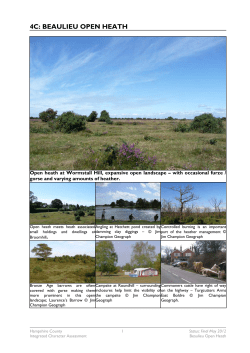 Beaulieu Open Heath - Hampshire County Council