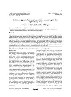 Behaviour of golden hamsters (Mesocricetus auratus)