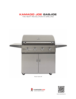 KAMADO JOE GASJOE - haleysflooring.com