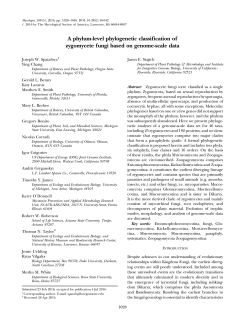 A phylum-level phylogenetic classification of zygomycete fungi