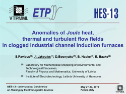Anomalies of Joule heat, thermal and turbulent flow fields in clogged