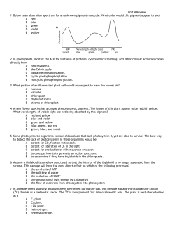 Unit 4 Review 1 Below is an absorption spectrum for an unknown