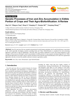 Genetic Processes of Iron and Zinc Accumulation in Edible Portion