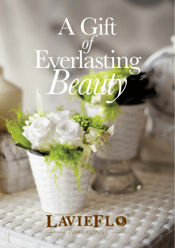 A Gift Of Everlasting Beauty