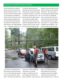 Redwood Forest 4/4/2016 by Maurice Boniface