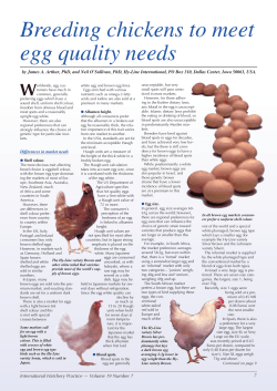 Breeding chickens to meet egg quality needs James A. Arthur et al