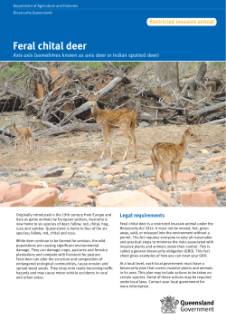 Feral chital deer - Department of Agriculture and Fisheries