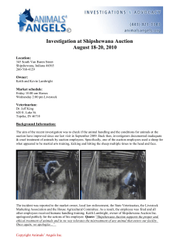 Investigation at Shipshewana Auction August 18