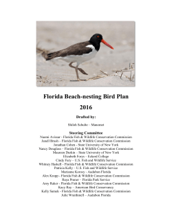 - Florida Shorebird Alliance
