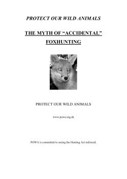 The Myth of `Accidental` Foxhunting
