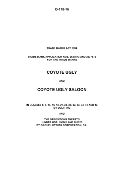 coyote ugly saloon