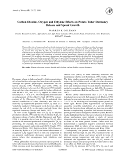 Carbon Dioxide, Oxygen and Ethylene Effects on Potato Tuber
