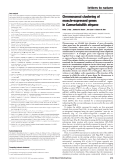 Chromosomal clustering of muscle-expressed genes