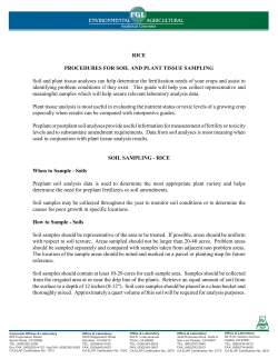 RICE PROCEDURES FOR SOIL AND PLANT TISSUE SAMPLING