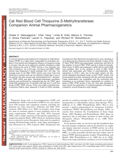 Cat Red Blood Cell Thiopurine S-Methyltransferase