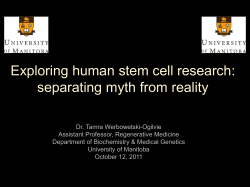 Exploring human stem cell research
