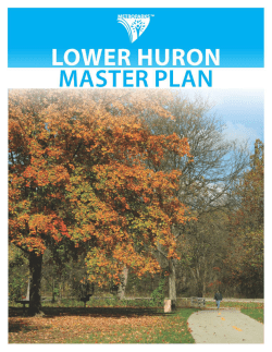 Lower Huron Master Plan  - Huron