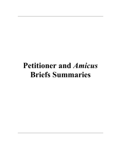 Petitioner and Amicus Briefs Summaries