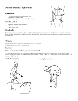 Print-Friendly Version