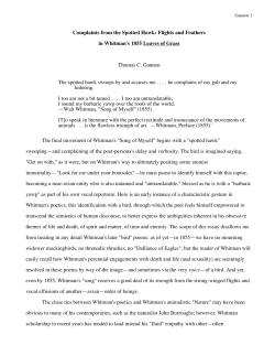 Complaints from the Spotted Hawk