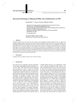 Structural Homology in Ribosomal RNA, and a Deliberation on POY