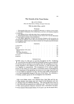 The Growth of the Trout Retina By AH LYALL