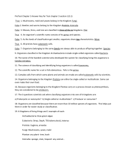 PreTest Chapter 3 Answer Key for Test chapter 3