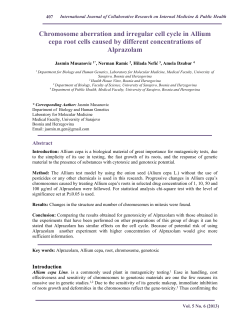 Chromosome aberration and irregular cell cycle in Allium cepa root