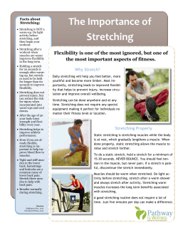 The Importance of Stretching