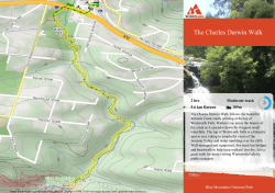 The Charles Darwin Walk