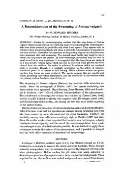 A Reconsideration of the Swarming of Proteus vulgaris