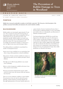 The Prevention of Rabbit Damage to Trees in Woodland