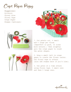 How-To Crepe Paper Poppy by Hallmark designer Em Bronson