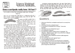 How Many Legs does a Centipede Have?