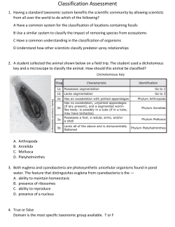 Classification Assessment