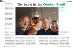 The Secret in the Oyster Shell - Max-Planck