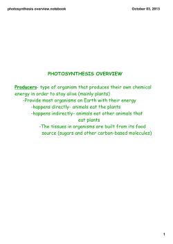 photosynthesis overview.notebook