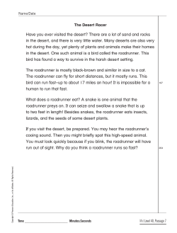 Level 40 Student Passage 7