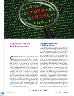 Cybercrime and the Fourth Amendment